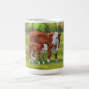 Search for hereford cow mugs Livestock