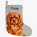 Search for cavalier king charles christmas stockings Animal
