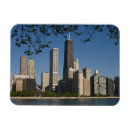 Search for alan magnets Chicago