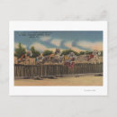 Search for kennel postcards States