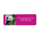 Search for panda return address labels Bear