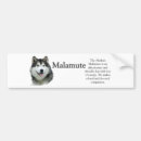 Search for sled bumper stickers Alaskan