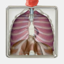 Search for human body part christmas tree decorations Organ