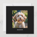 Search for pet name cards Dog photo