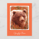 Search for wildlife art postcards Bear