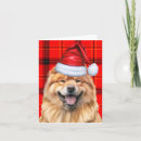 Search for chow chow christmas cards Pets