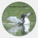 Search for protect wildlife stickers Nature