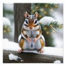 Search for chipmunks art Wildlife