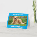 Search for sis cards Photography
