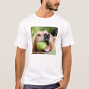 Search for retriever tshirts Fetch