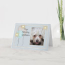 Search for apso White