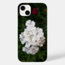 Search for carnations iphone cases Flowers