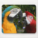 Search for macaws mousepads Nature