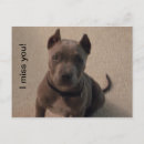 Search for sad miss you puppy postcards Animals