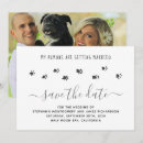 Search for dog photo save the dates Fur baby