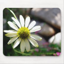 Search for summer mousepads Nature