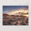 Search for mojave cards Nature
