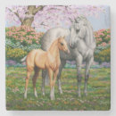 Search for colts barware Mare