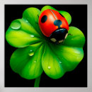 Search for ladybird posters Red