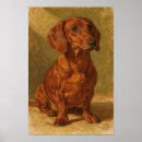 Search for dachshund art posters Dog lover