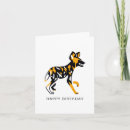 Search for carnivore cards Wildlife