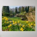 Search for beautiful spring posters Floral
