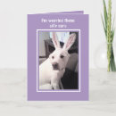 Search for fun easter cards Humourous