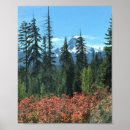 Search for mt posters Trees