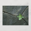 Search for bouldering postcards Outdoors