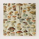 Search for mushroom puzzles Food