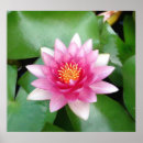 Search for charm posters Flowers