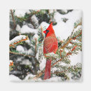 Search for bird tree magnets Winter