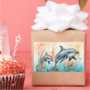 Search for swim with dolphins stickers Underwater