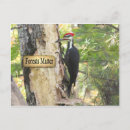 Search for ecologic postcards Ecology
