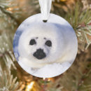 Search for baby seal christmas tree decorations Wild animals