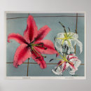 Search for lilly flower art Plants