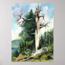 Search for mountain forest posters Hiking trail