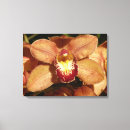 Search for raindrop canvas prints Nature