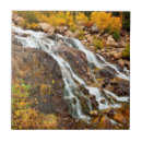 Search for environment tiles Conservation