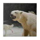 Search for bear tiles Nature