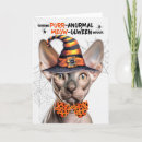 Search for sphynx cat cards Cats