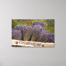 Search for provence canvas prints Travel