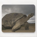 Search for giants mousepads Wildlife