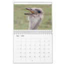Search for funny animal calendars Giraffe