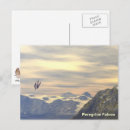Search for peregrination postcards Wildlife