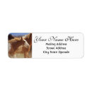 Search for mustang return address labels Wild