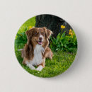 Search for upload your own badges Modern
