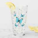 Search for morpho Butterfly