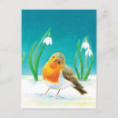 Search for erithacus postcards Robin