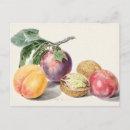 Search for vintage banana postcards Fruit